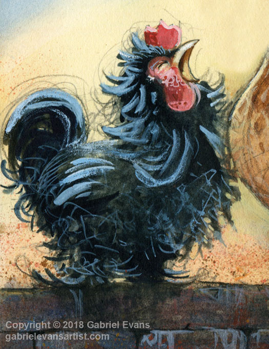 Gabriel Evans - Chicken Illustration 